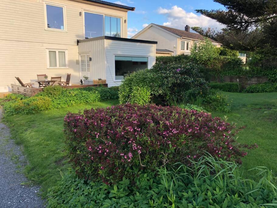 Lys Og Trivelig Leilighet I Larvik Exterior photo
